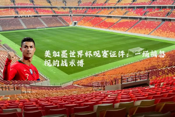 美加墨世界杯观赛证件：一场被忽视的战术博弈